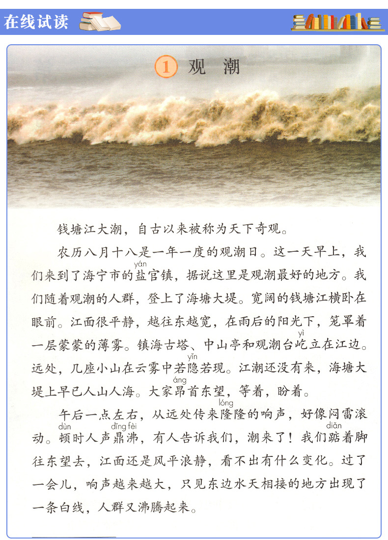正版包邮2020苏教版四年级上册数学书+部编人教版语文四年级上册全套2本教材课本小学课本全套4四上语文数学四年级上册教科书