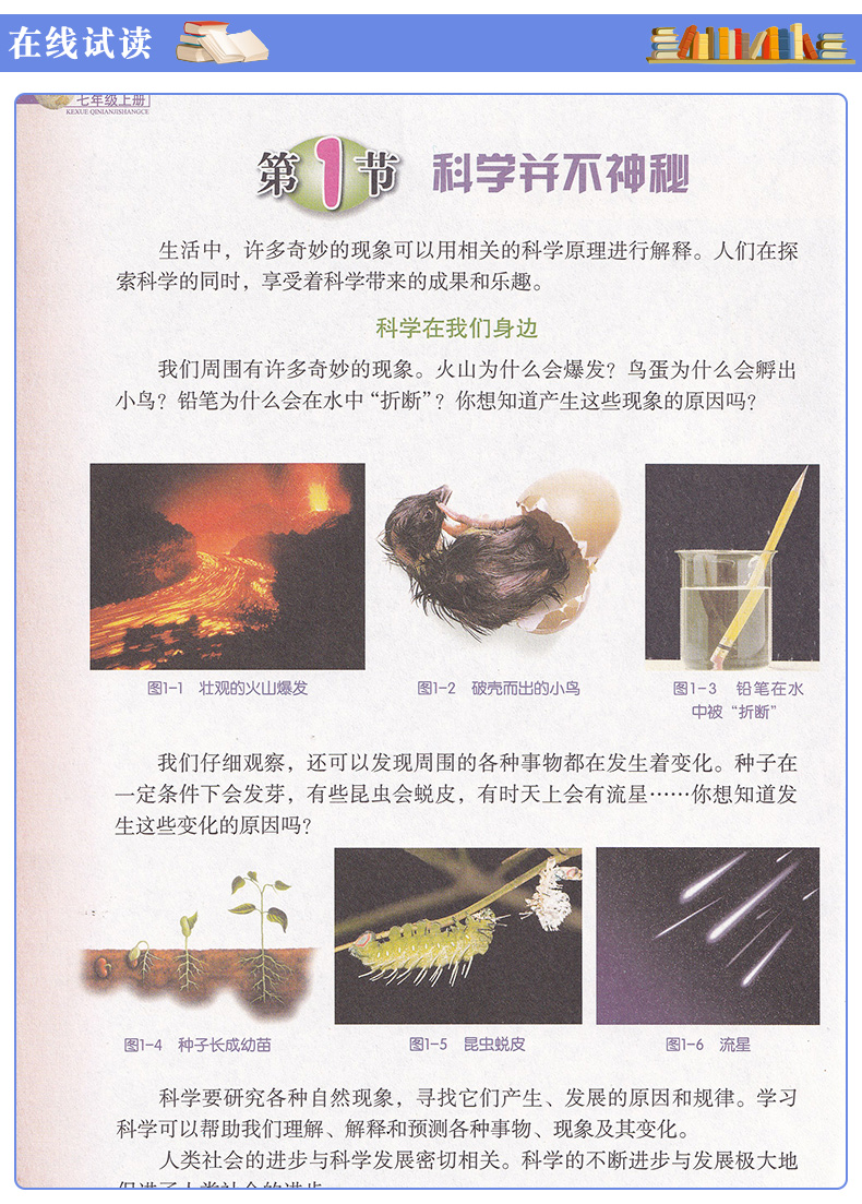正版包邮浙江省七年级上册人教版语文道德与法制外研版英语浙教版数学科学全套5本课本教科书浙江省教材初中七年级上册全套教材