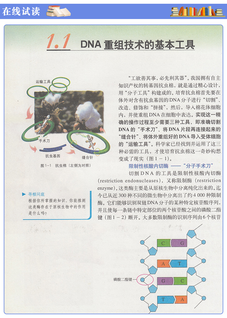 正版人教版高中生物必修一二三123+选修三3课本教材教科书全套4本人教版高中生物必修一二三123+选修三3课本共4本高中生物