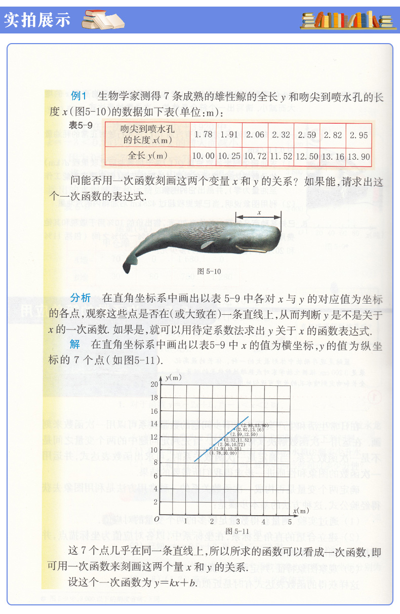 包邮正版2020八年级上册数学书浙教版数学书八年级上册课本八年级数学上册教材浙江教育出版社初二数学上册教科书浙江省数学教材