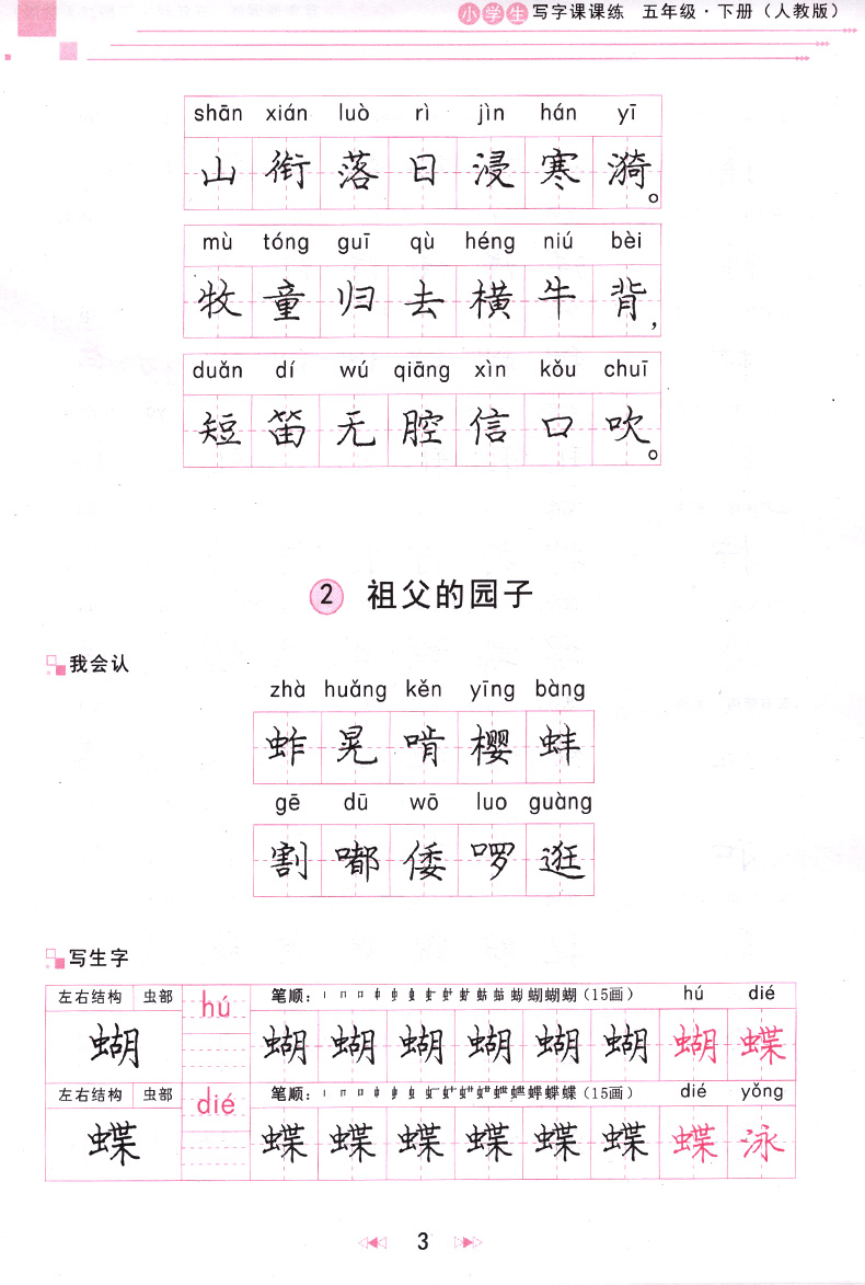 写字课课练五年级下册人教版庞中华钢笔字帖小学生语文5年级同步练字用书庞中华楷书字帖正楷钢笔硬笔书法临摹描红练习册