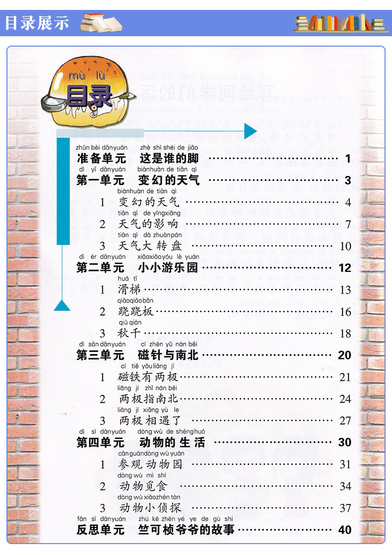 正版2020适用新版大象版二年级上册科学书小学科学教材二年级上册科学