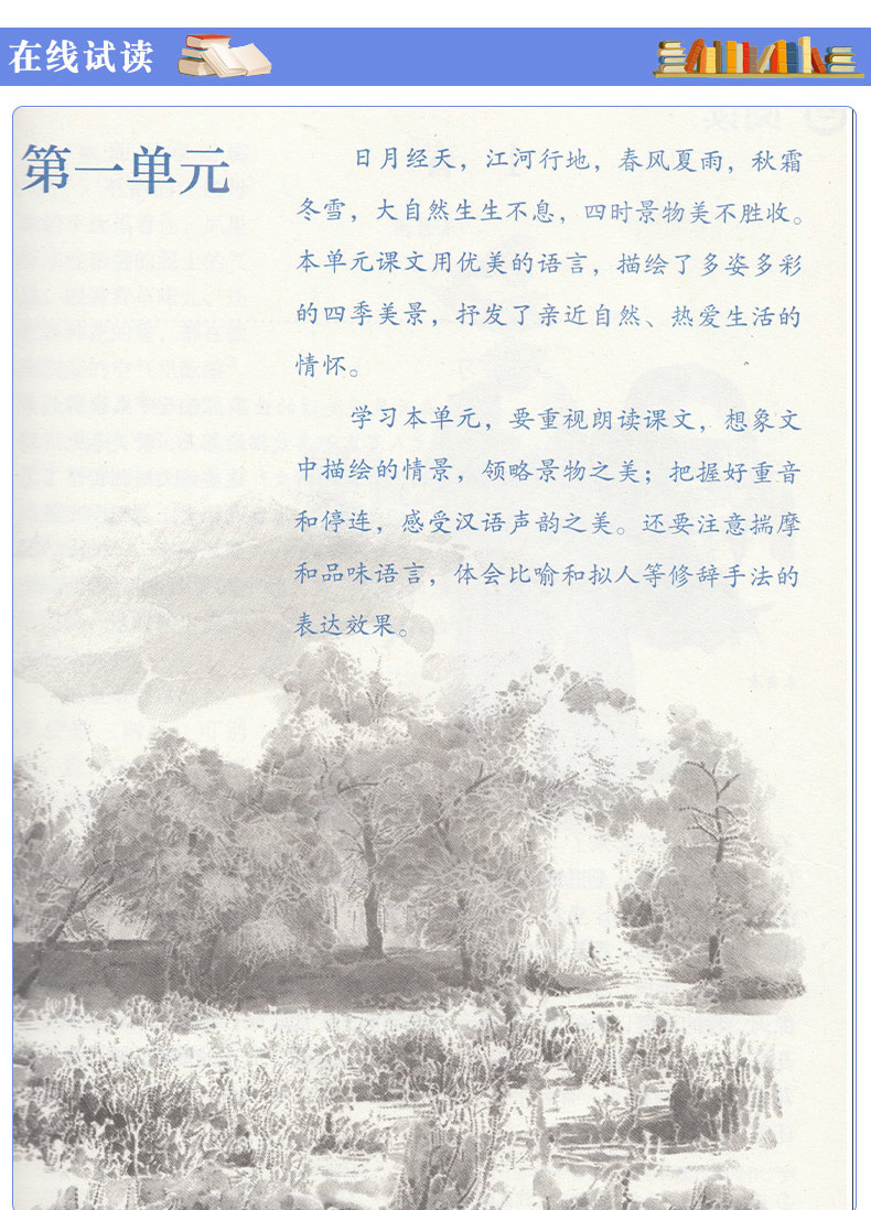 2020适用7/七年级上册语数外课本初一语文数学英语书全套3本教材人教版七年级上册数学语文+外研七年级上册英语(新目标)七年级上册