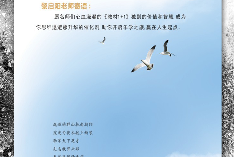 教材全解 教材1+1必修2必修二 化学人教版 RJ版 高中同步辅导书