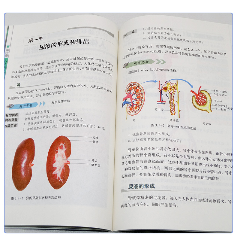 2020适用春季济南版初中生物课本生物学七年级下册中学初一7下生物学