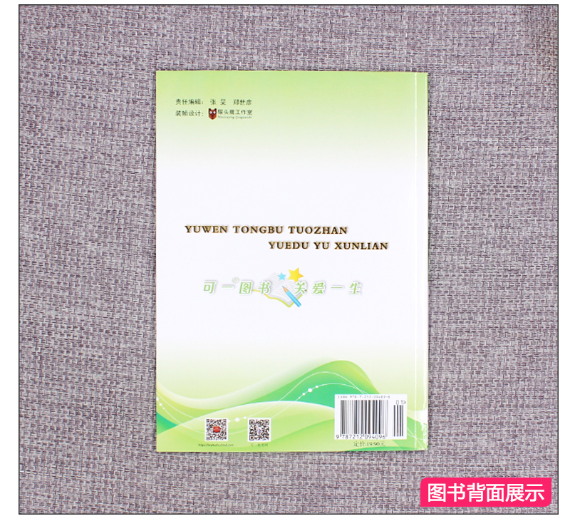 多省包邮 2019春语文同步拓展阅读与训练 二年级下册/2年级下册 语文 人教版 同步课本课内外阅读理解与写作专项训练习题册教辅书