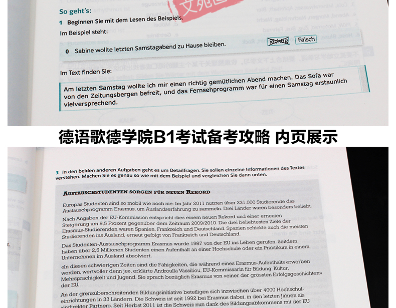 正版  德语歌德学院 B1考试备考攻略 备考歌德语言证书B1考试 德语考试自学 剖析B1考试各部分题型、测试要点、解题步骤及技巧