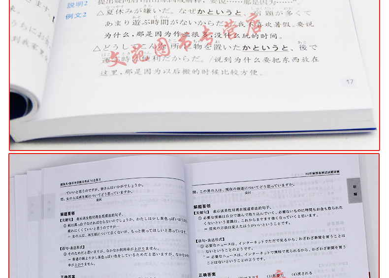 【官方授权】华东理工新日本语能力考试N1总复习+日语N1红蓝宝书文法速记文字词汇 共3册日语书籍出国考试 备战日语n1出国日企必备