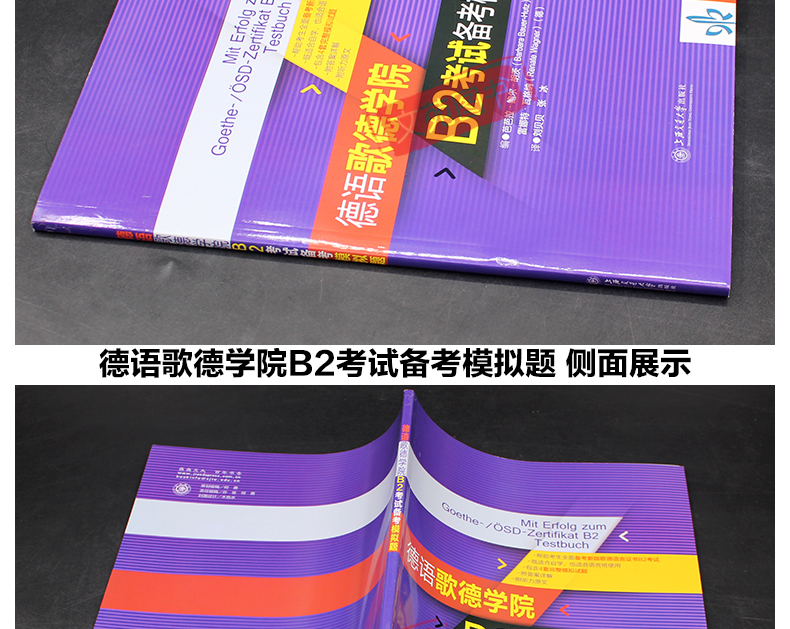 正版预售 德语歌德学院B2考试备考模拟题 歌德语言证书B2考试用书 可搭德国出国考试 德语歌德学院b2考试备考攻略 歌德学院A1a1