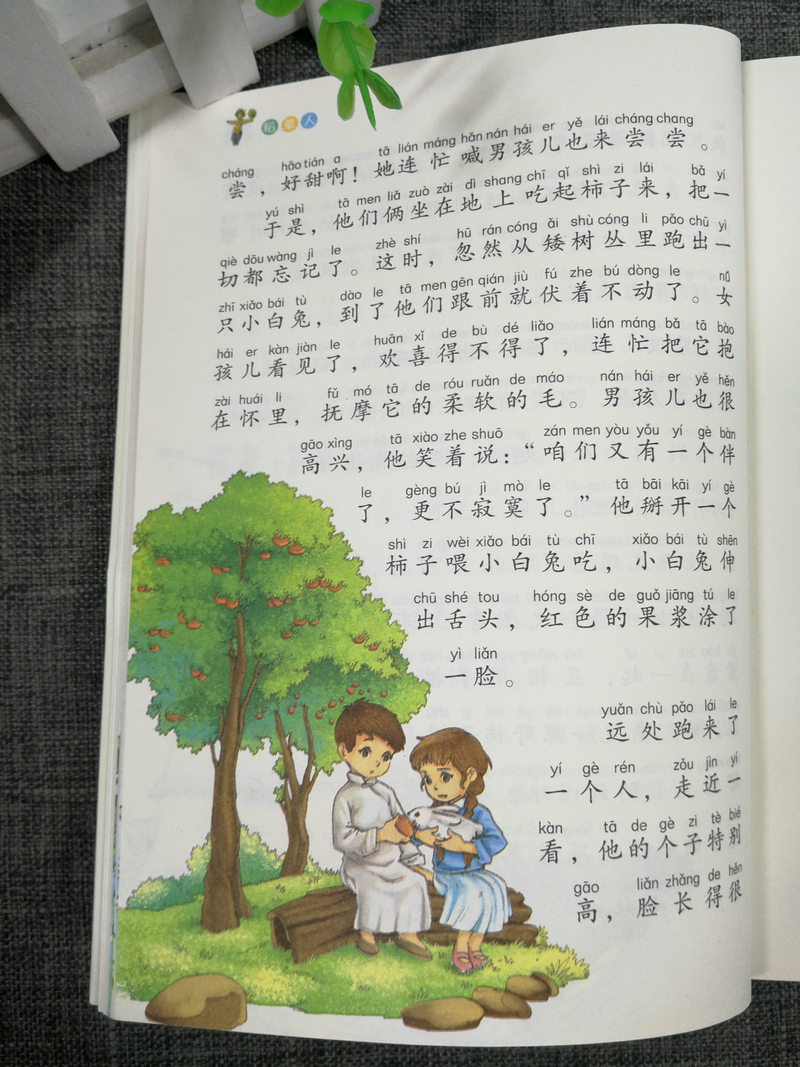 正版包邮智慧熊稻草人彩绘注音2.0版少儿版儿童课外阅读书小学语文新课标必读丛书素质版南京大学出版社123年级小学生课外读物