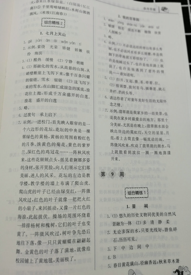 全套2本2019春新版高分阅读小学语文+英语读写周周练五年级下册5年级下南大教辅版同步拓展强化组合训练小学生阅读理解课外阅读书