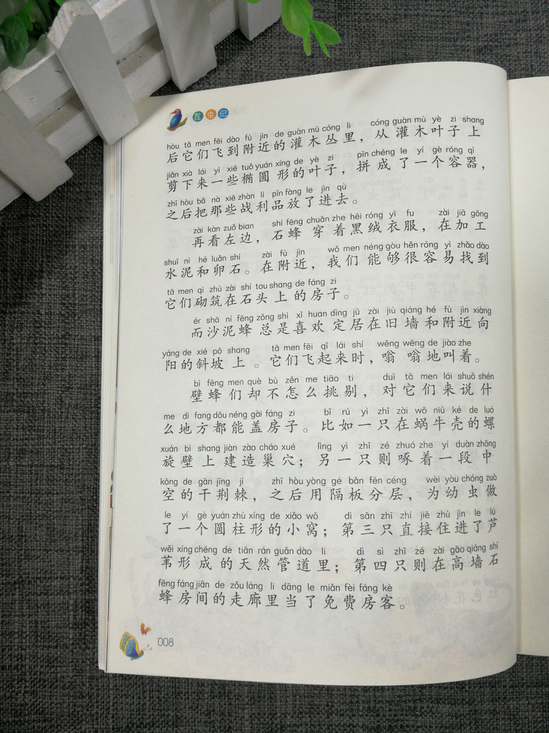 正版包邮智慧熊 昆虫记 彩绘注音2.0版少儿版儿童课外阅读书小学语文新课标必读丛书素质版南京大学出版社123年级小学生课外读物