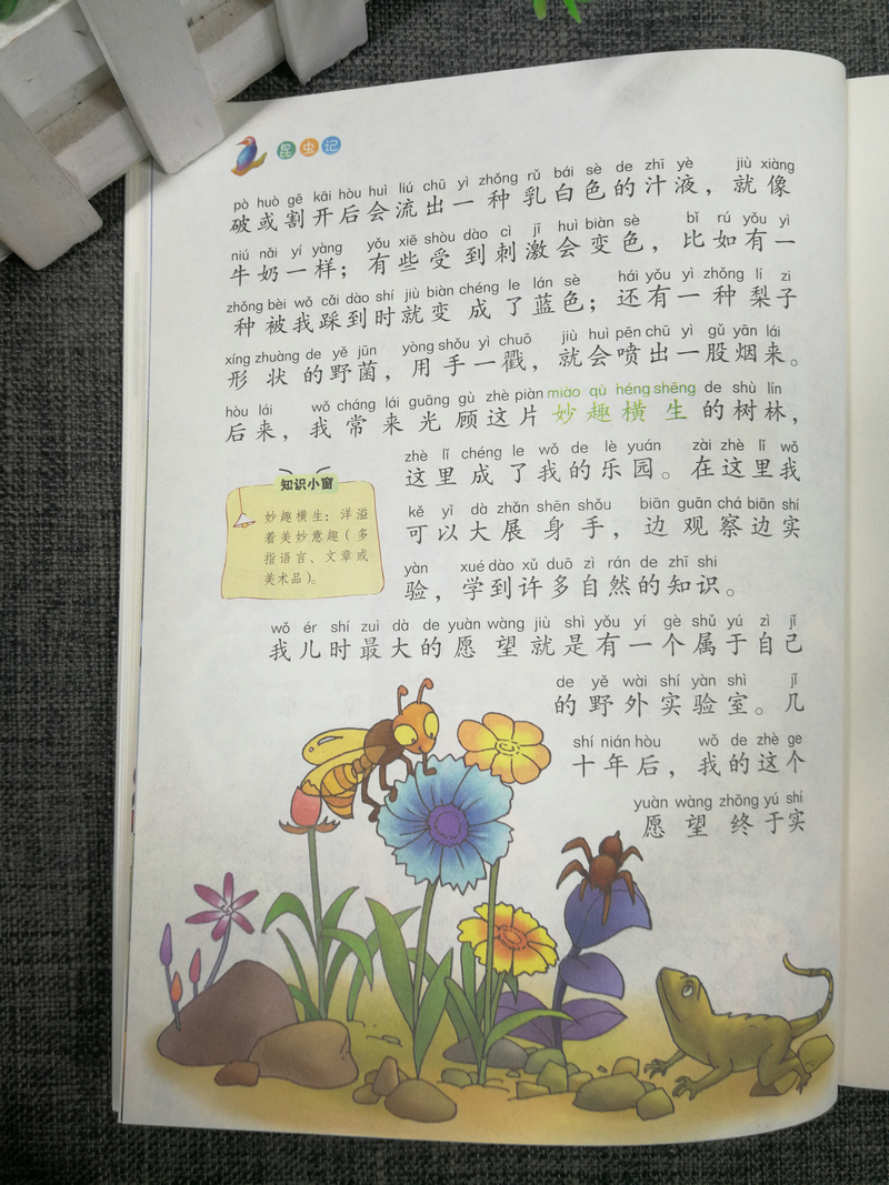 正版包邮智慧熊 昆虫记 彩绘注音2.0版少儿版儿童课外阅读书小学语文新课标必读丛书素质版南京大学出版社123年级小学生课外读物