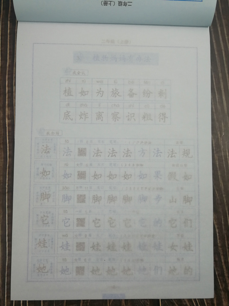 包邮2020秋司马彦小学生语文练字帖二年级上册含蒙纸 同步课文人教版2年级上写字好老师字帖同步字帖小学语文书法习字册写字课课练