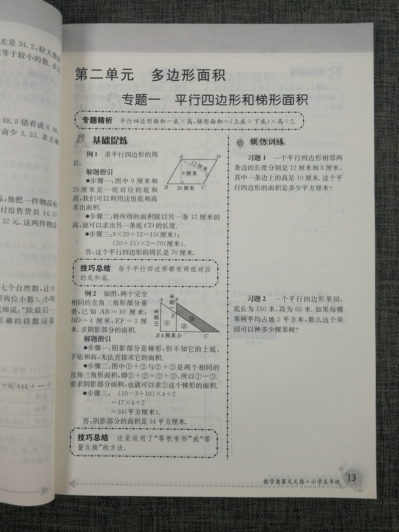 南大教辅 数学奥赛天天练第五版小学5年级五年级通用版徐彪奥赛教材专题精析技巧总巩固训练小学生奥数练习人教苏教北师全国通用版