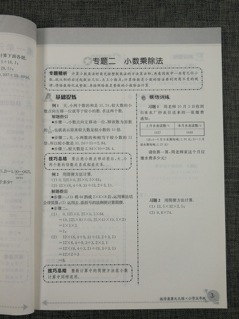 南大教辅 数学奥赛天天练第五版小学5年级五年级通用版徐彪奥赛教材专题精析技巧总巩固训练小学生奥数练习人教苏教北师全国通用版