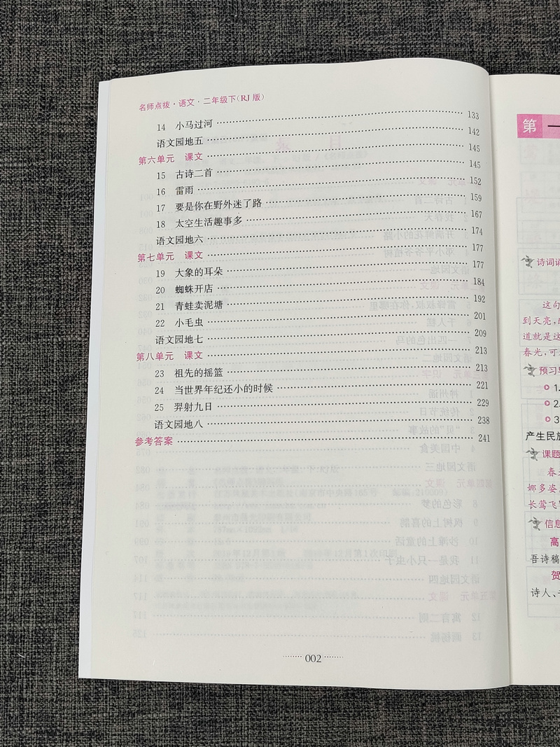 现货新版2020名师点拨课课通二年级下册语文部编版人教版小学2年级下教材全解析小学生下学期江苏适用同步解读讲解复习资料辅导书