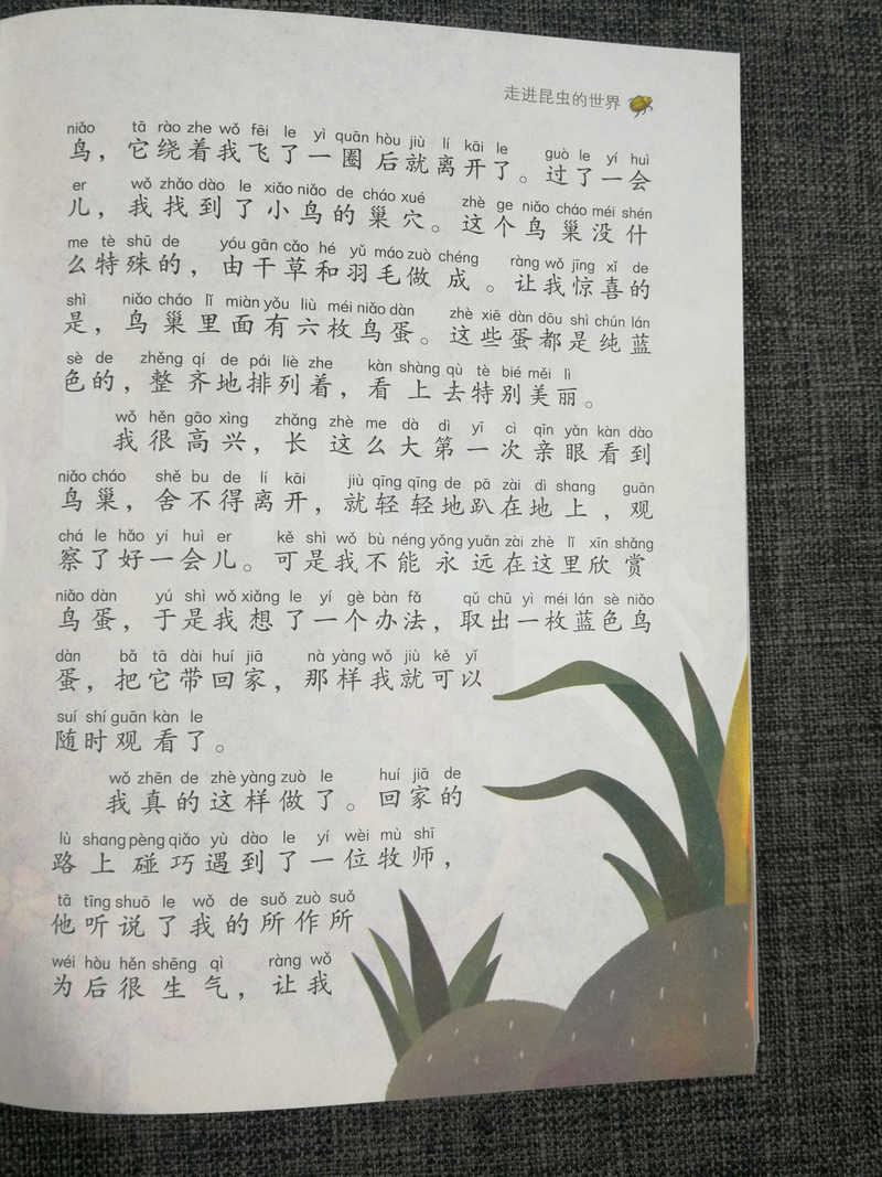 正版包邮智慧熊 昆虫记 彩绘注音2.0版少儿版儿童课外阅读书小学语文新课标必读丛书素质版南京大学出版社123年级小学生课外读物