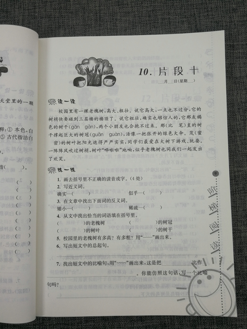 俞翠霞俞老师教阅读2020新版小学语文新课标阶梯阅读培优训练3年级三年级(第五版)第5版阅读理解训练人教版苏教版北师大通用上下册