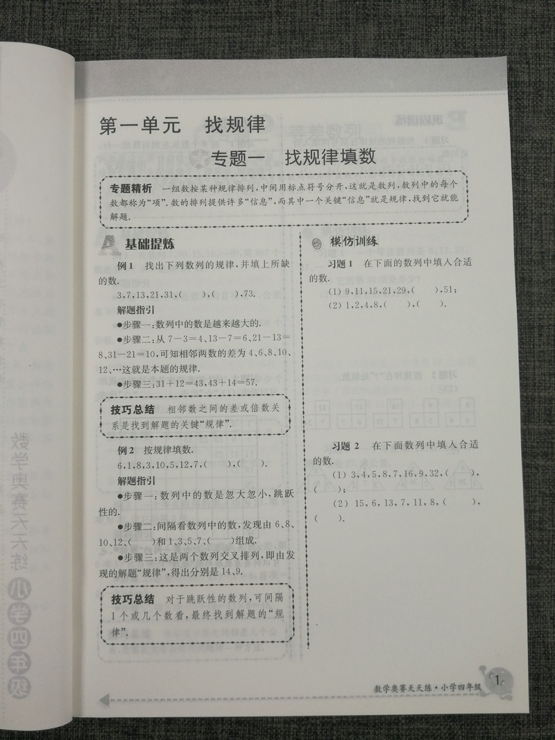 南大教辅 数学奥赛天天练第五版小学4年级四年级通用版徐彪奥赛教材专题精析技巧总巩固训练小学奥数练习题人教苏教北师全国通用版