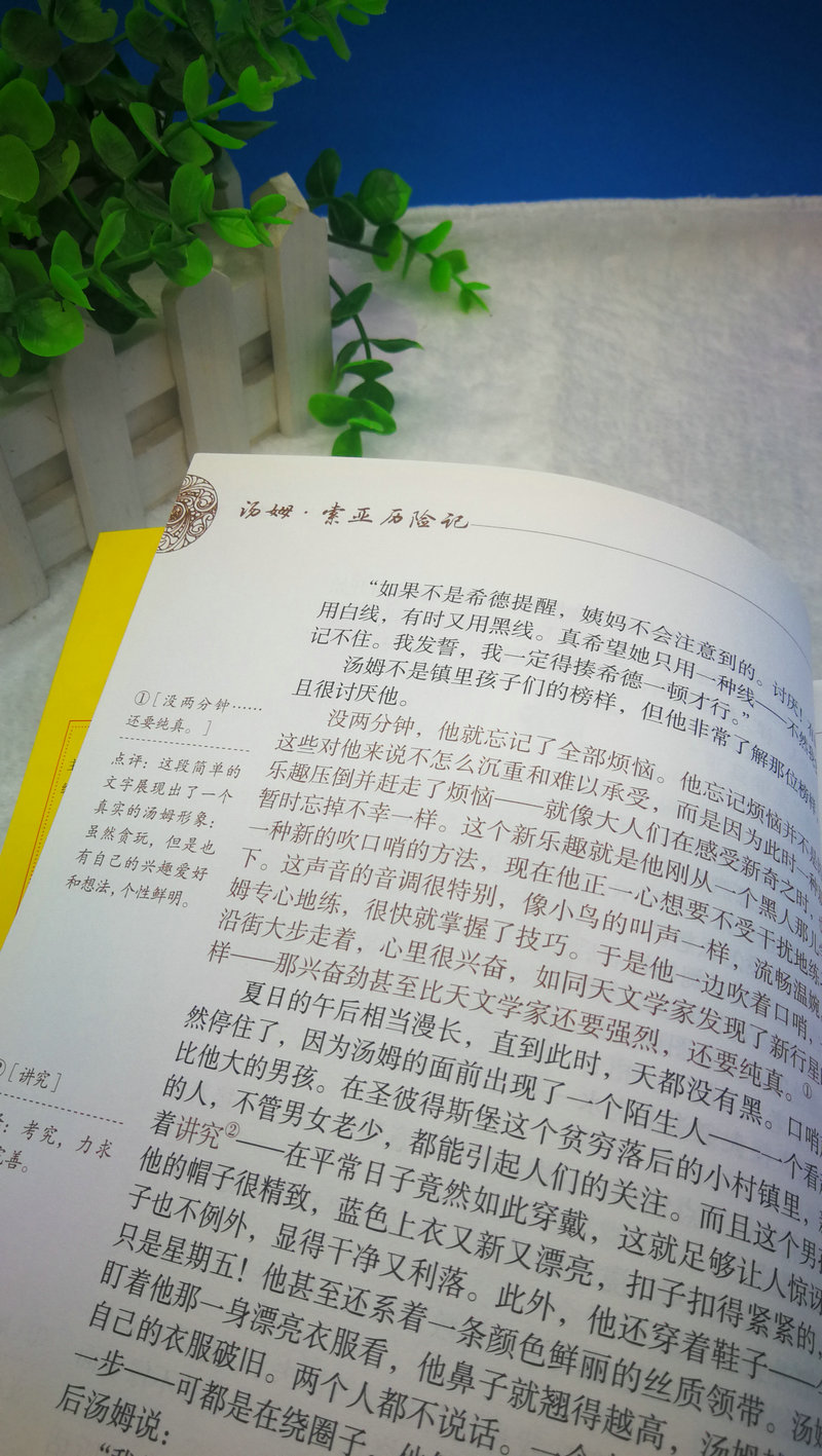 包邮汤姆.索亚历险记 马克吐温新课标学生版南方日报出版社教育部义务教育语文老师推荐书目中小学课外阅读书籍外国经典文学名著