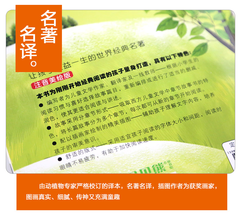 森林报秋春冬夏正版故事绘本四年级必读 美绘版 青少年小学生课外阅读书籍7-12岁全套4册彩色注音版森林报秋
