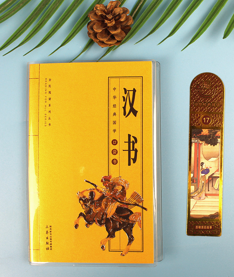 汉书 文白对照 汉书图文珍藏版 历史文学 中国古典名著中国通史历史 中华国学经典正版书籍口袋书 便携本