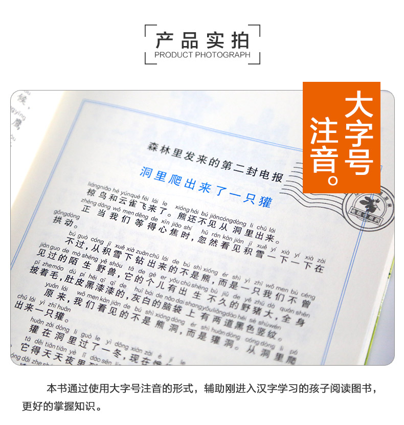 森林报秋春冬夏正版故事绘本四年级必读 美绘版 青少年小学生课外阅读书籍7-12岁全套4册彩色注音版森林报秋