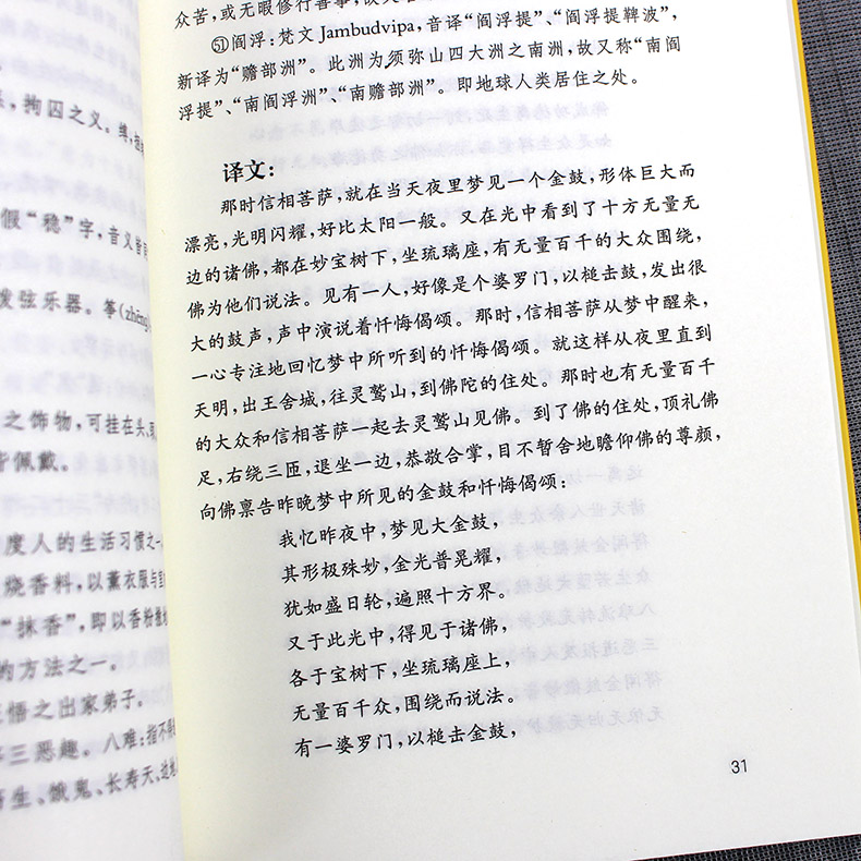 佛教十三经--金光明经 佛经 中华书局