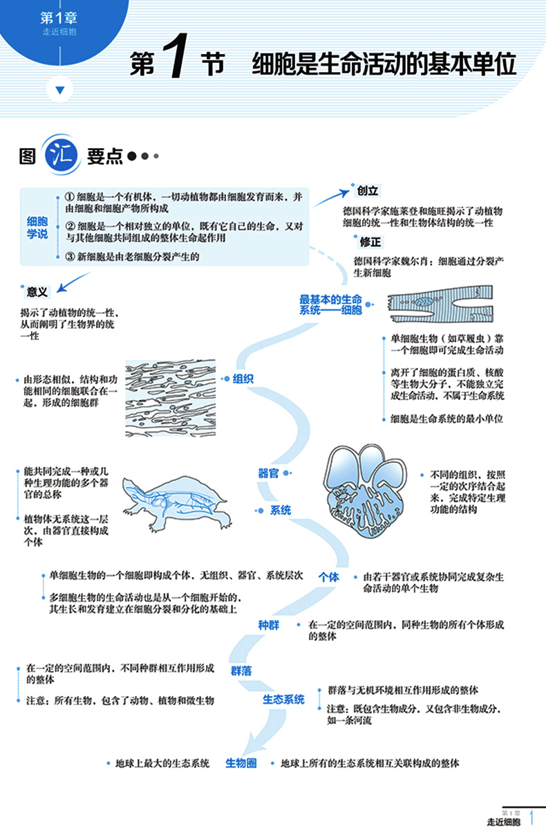 2021新版中学教材全解高中语文数学英语物理化学生物必修一 人教版  高1上册同步教材完全解读语数英物化生必修第一册教辅导资料书