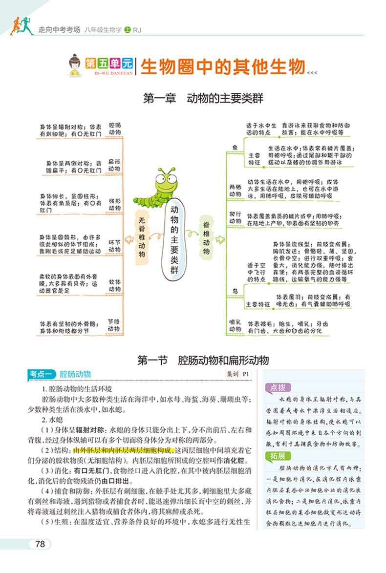 官方正版走向中考考场八上生物 人教版RJ 8八年级上册生物课本同步练习册练习题 初中生初二中学教材全解总复习教辅资料书 薛金星