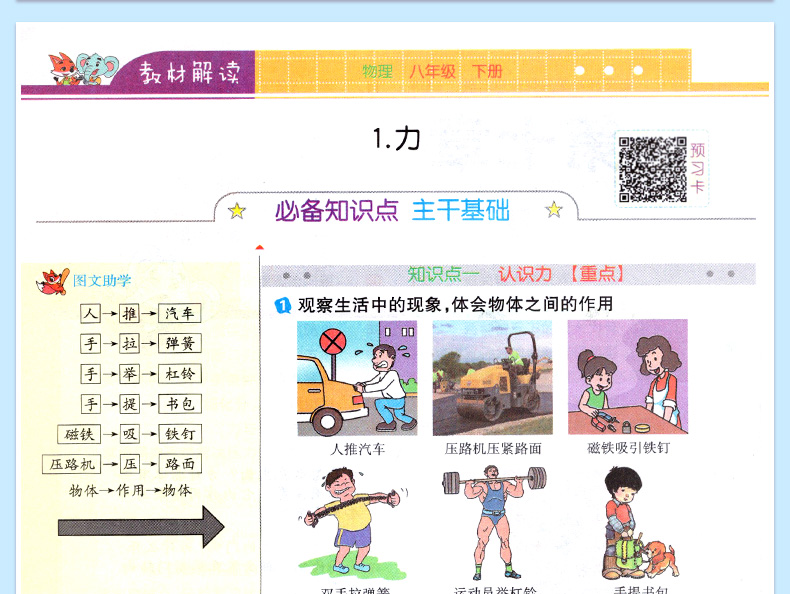 教材解读八年级下物理 JK教科版八年级下册物理书配套全教材解 8八下物理同步教辅导工具书 教材解读 物理 八年级下册