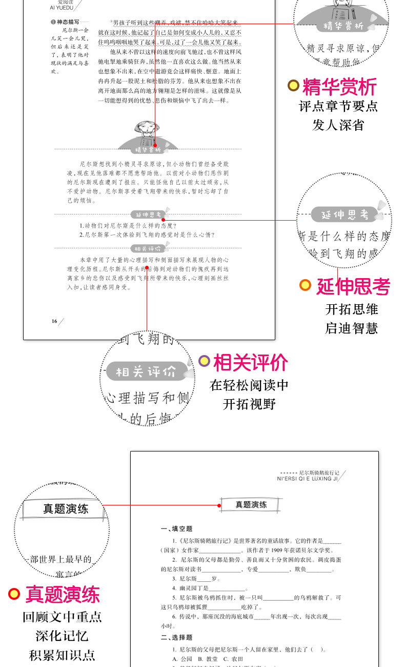 爱阅读语文教材推荐阅读丛书 爱丽丝漫游奇境记+鲁滨孙漂流记+尼尔斯骑鹅旅行记+汤姆索亚历险记青少年学生 必读正版书籍