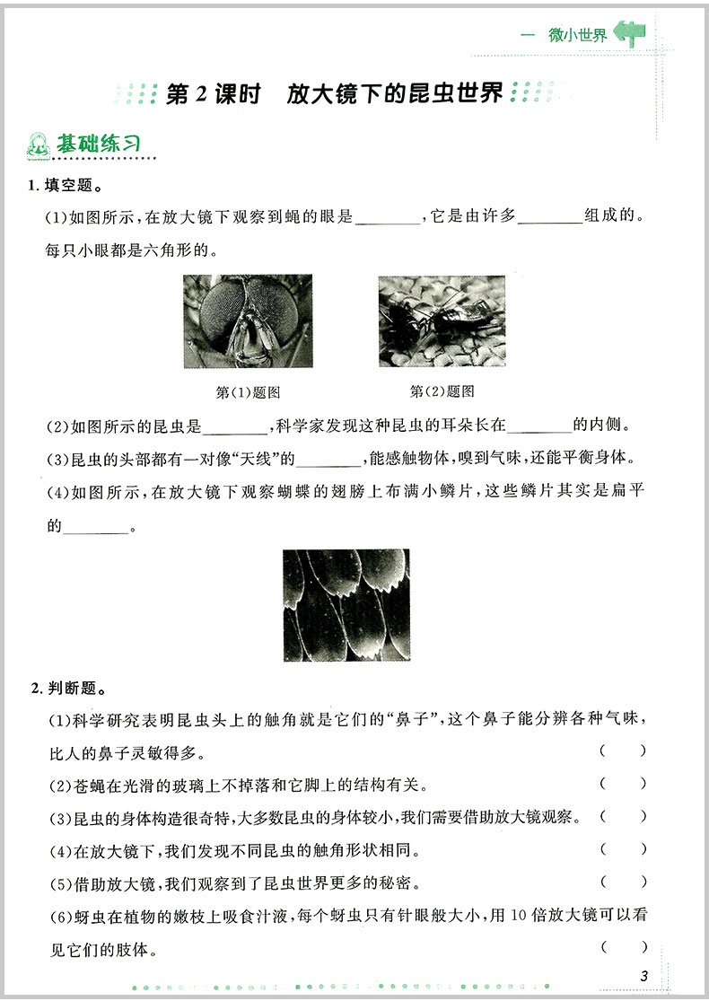 2020春 宇轩图书 阳光同学课时优化作业 六年级下册/6年级 科学 教科版 小学同步练习册课堂单元期中期末检测试卷题训练辅导教辅书