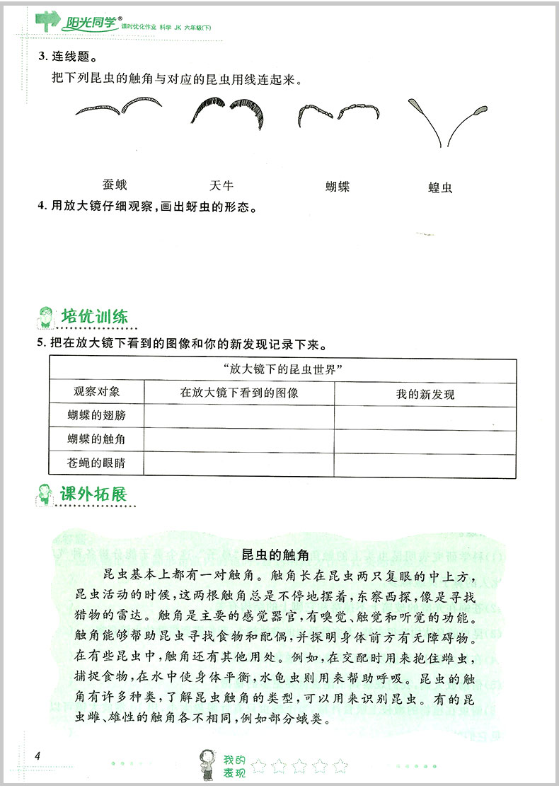 2020春 宇轩图书 阳光同学课时优化作业 六年级下册/6年级 科学 教科版 小学同步练习册课堂单元期中期末检测试卷题训练辅导教辅书