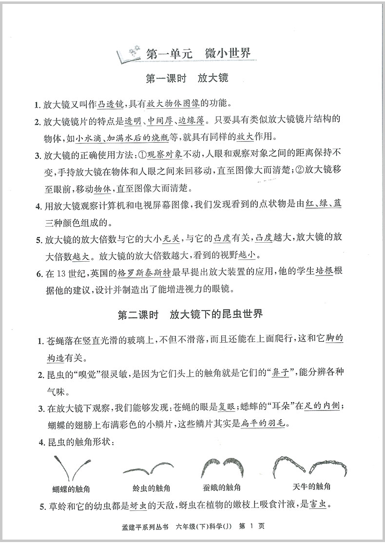 2020新版 孟建平六年级下册科学各地期末试卷精选教科版小学同步训练测试卷题练习册浙江满分单元期中考试综合总复习冲刺卷子100分