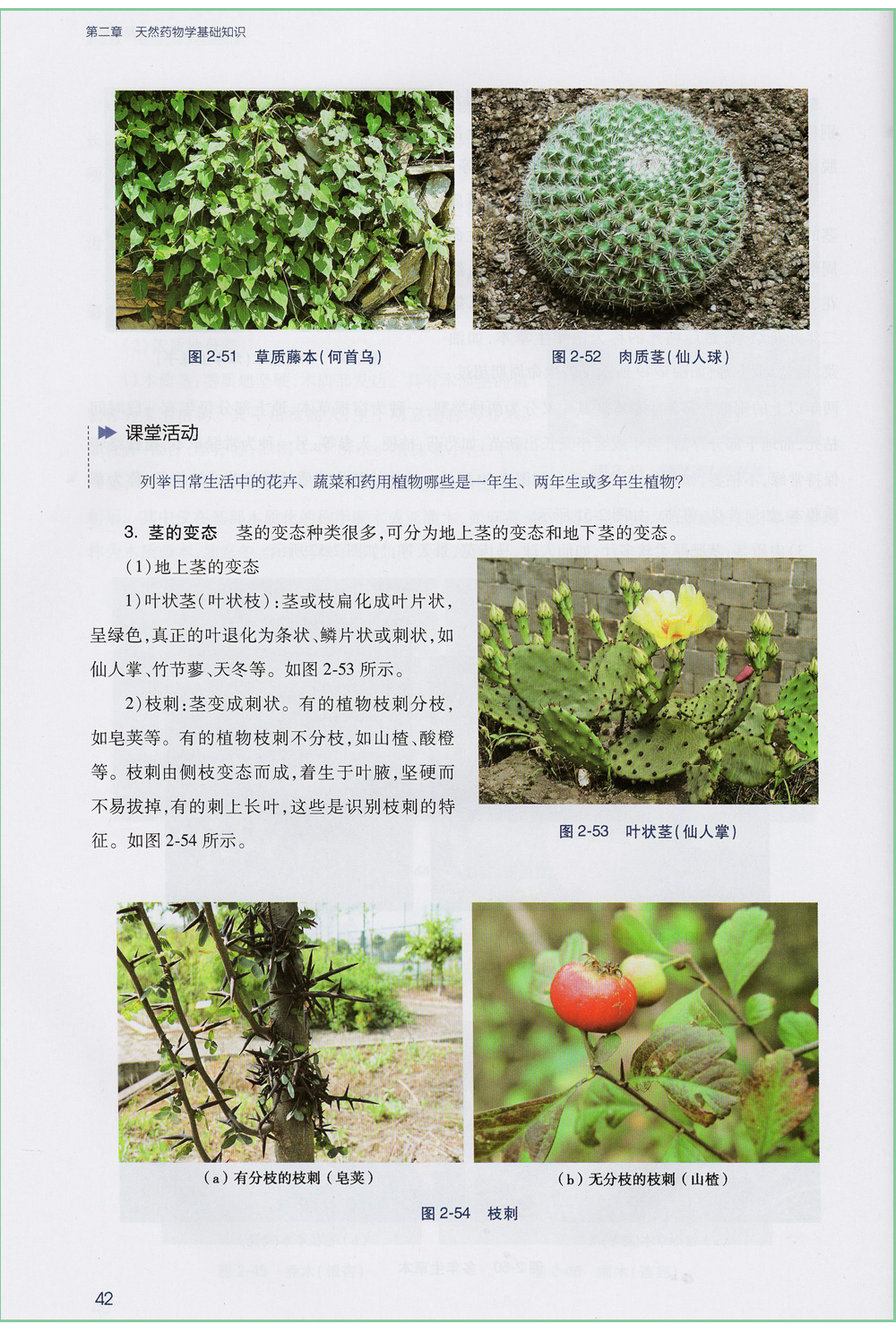 天然药物学 第三3版 全国高等职业教育药品类专业 沈力 张辛主编 人民卫生出版社9787117257985供药学 药物制剂技术 等专业用