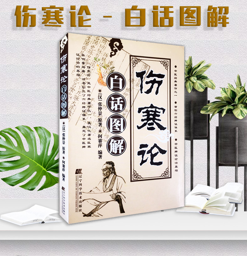 正版伤寒论白话图解汉张仲景原著何赛萍著9787538156645医学书籍中医