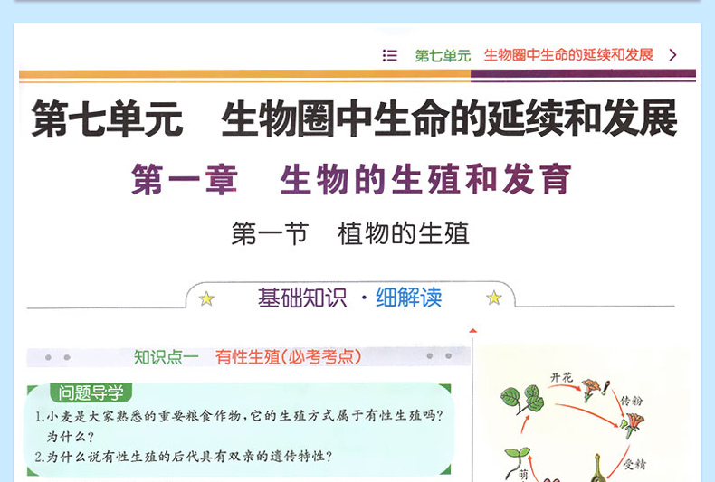 2020春新版教材解读八年级下册生物学书  初中生物学教辅导资料 人教版 初二8年级生物下册同步全解书 人民教育出版社教材同步教辅