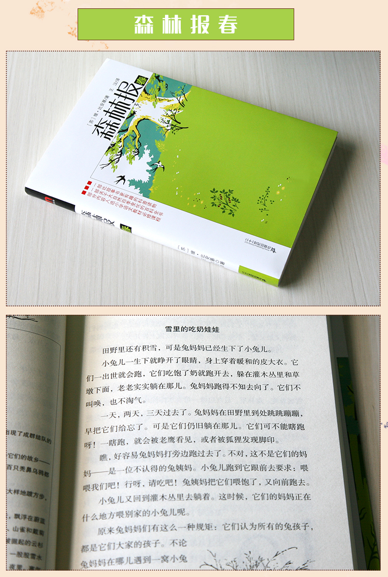 全4册 森林报春夏秋冬 假期推荐阅读书籍 三四五六年级小学生必读课外书7-8-10-12岁儿童文学故事书经典世界名著全集森林报