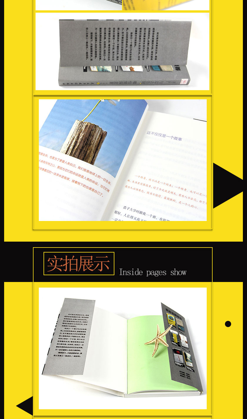 正版包邮 与过去告别 哪怕情深意重 生活即是不停的告别 我们由此得以顿悟和成长 得到与失去 中国现当代文学 励志情感小说
