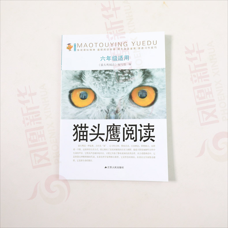 猫头鹰阅读 6年级适用唐诗宋词诗歌鉴赏阅读作文技巧练习册教辅资料书提升阅读素养渗透习作技巧六年级语文课外现代文阅读指导训练