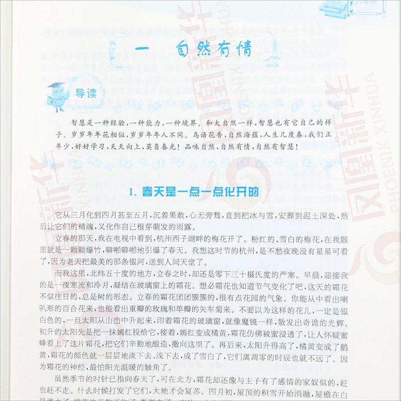 猫头鹰阅读 6年级适用唐诗宋词诗歌鉴赏阅读作文技巧练习册教辅资料书提升阅读素养渗透习作技巧六年级语文课外现代文阅读指导训练