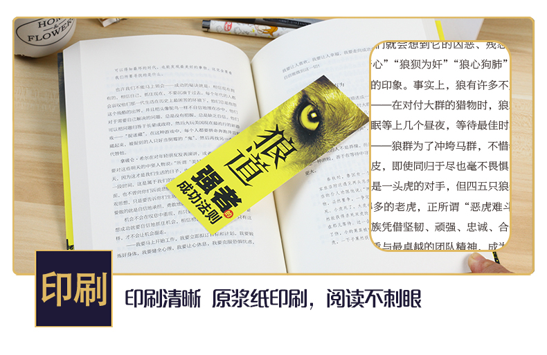 全5本励志书籍正版高情商聊天术幽默与沟通 狼道强者的成功法则墨菲定律人性的弱点青春文学修养心灵鸡汤正能量青年成功励志畅销书