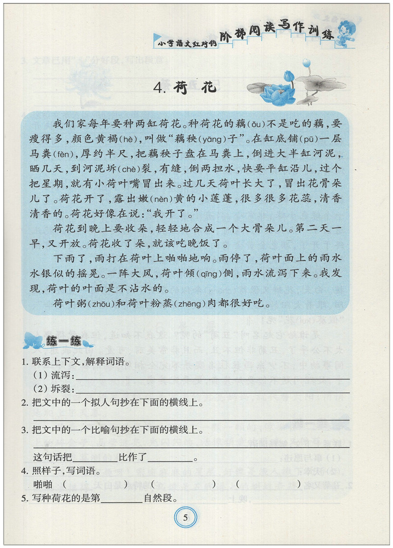 小学语文红对钩 阶梯阅读写作训练 四年级