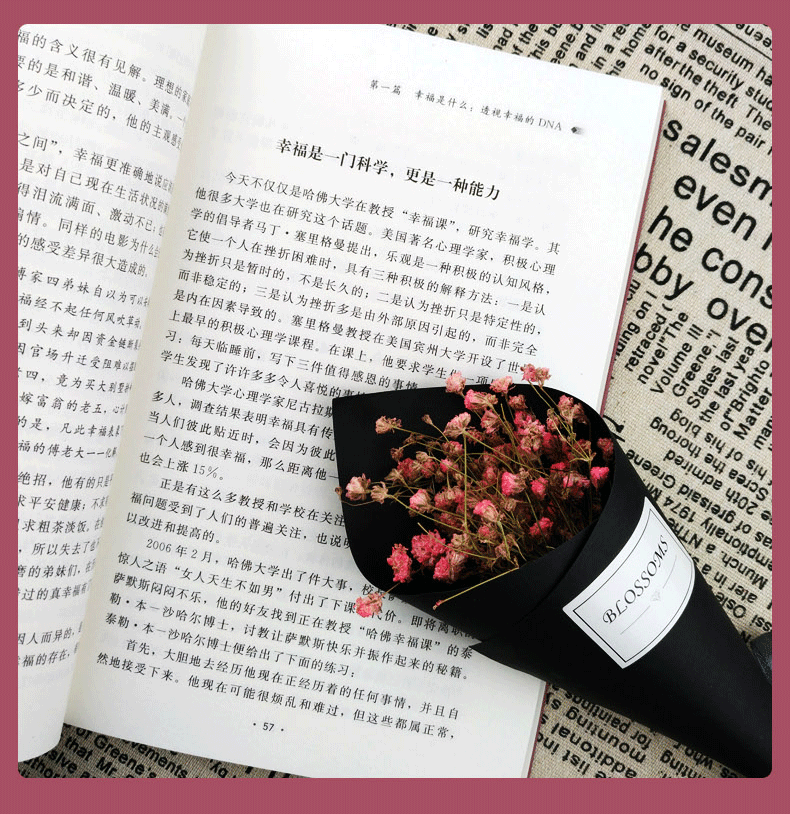 哈佛幸福课 哈佛大学受欢迎的幸福课 心灵修养成功励志书籍 树立幸福的人生态度哲学人生书籍励志修养书籍自我心灵书籍