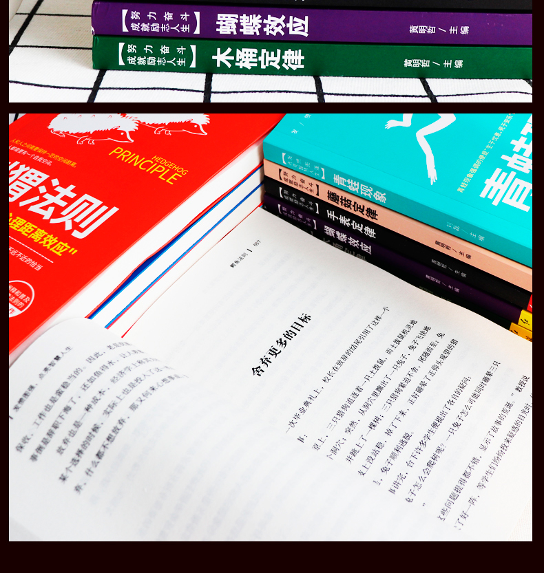 成功者的神奇定律 世界十大定律人生书籍十本书10大定律竹子定律木桶定律刺猬鳄鱼二八法则蝴蝶效应书籍 书籍正版书排行榜