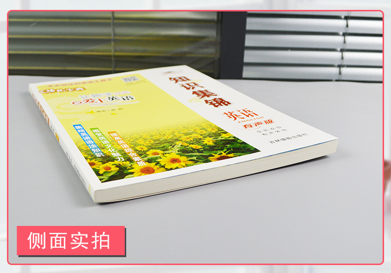 培优宝典知识集锦英语有声版 小学英语语法知识重点词汇句型小升初考试辅导教材英语美文鉴赏趣味知识作文范文精选考试复习资料