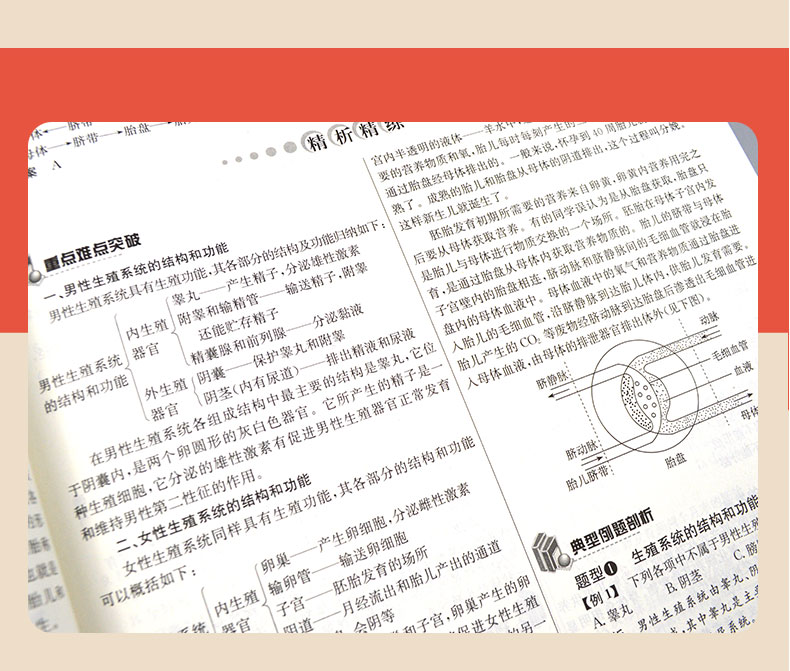 2020鼎尖教案初中七年级生物学下册教案中学教师教参特级星级教案课堂教学设计案例初中江苏版7年级生物教材完全解读延边教育出版