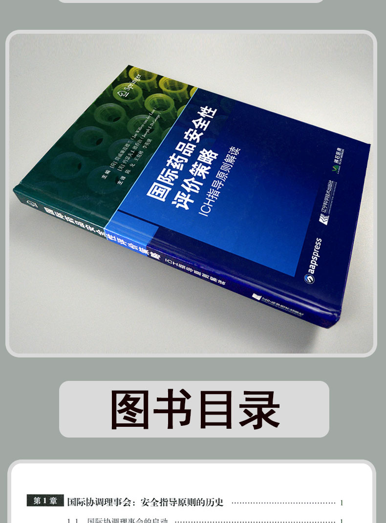 国际药品安全性评价策略 ICH指导原则解读 药物研发书籍 药物成分检测与分析技术 药物研发过程中安全性试验指导原则解读